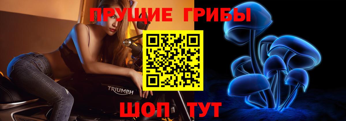 Псилоцибиновые грибы прущие грибы Новочеркасск